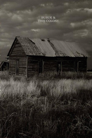 Busuk : This-Colony - Busuk